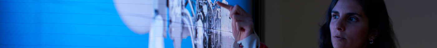 Bild zu Project Management Executive